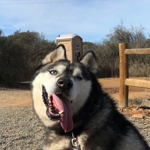 Meet your Posher, Brian